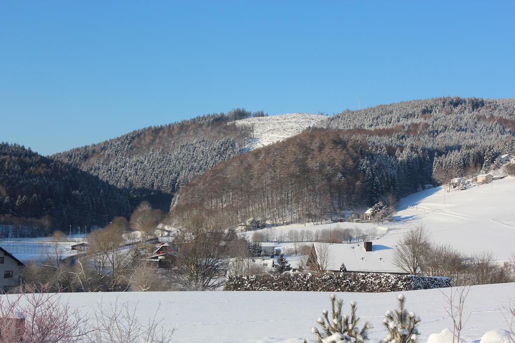 Apartment Emde Willingen (Upland)