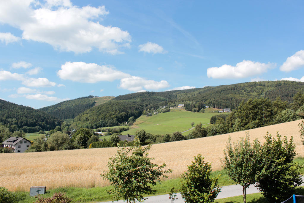 Emde Willingen (Upland)