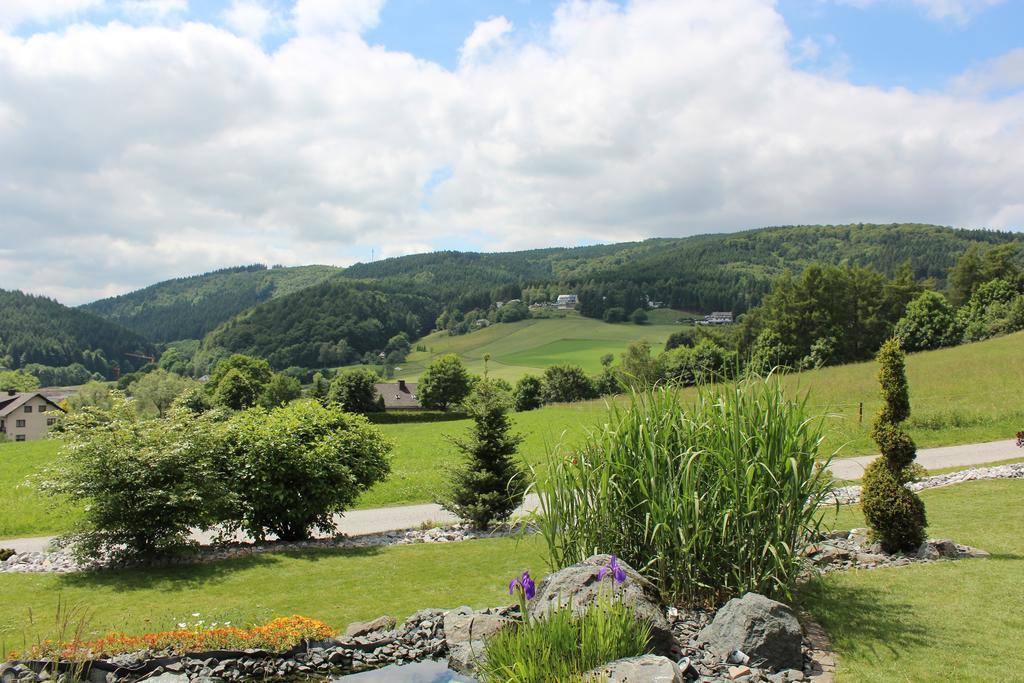 Emde Apartment Willingen (Upland)